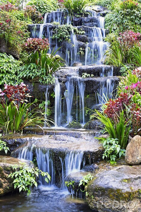 Fototapete Wasserfall und Gartenblumen