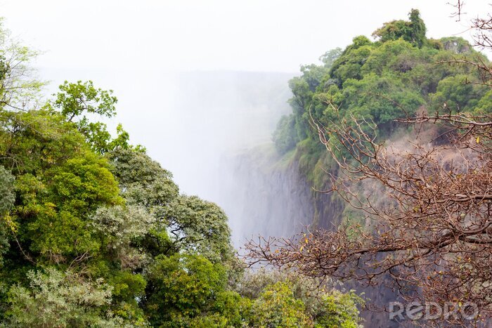 Fototapete Wasserfall und grüne Bäume