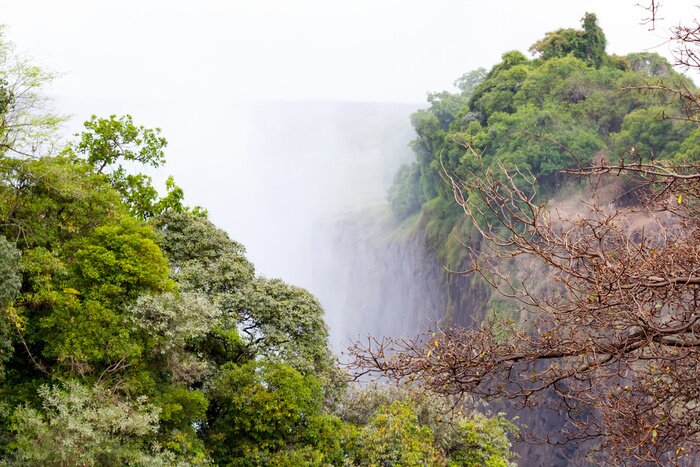 Fototapete Wasserfall und grüne Bäume