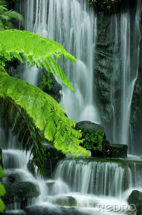 Fototapete Wasserfall und grüne Blätter