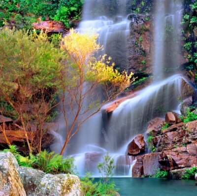 Wasserfall und Herbstbaum