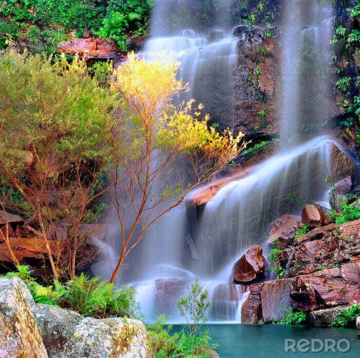 Fototapete Wasserfall und Herbstbaum