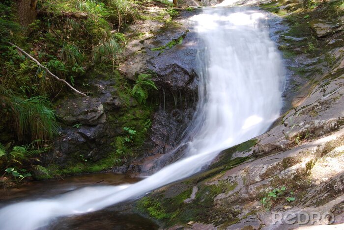 Fototapete Wasserfall und reißender Bach