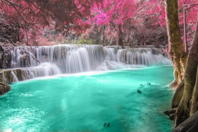Fototapete Wasserfall und rosa Blätter auf Bäumen