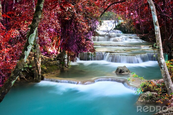 Fototapete Wasserfall und rote Bäume