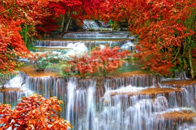 Fototapete Wasserfall und rote Blätter
