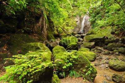 Fototapete Wasserfall und Steine im Dschungel