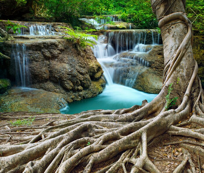 Fototapete Wasserfall und tropischer Wald