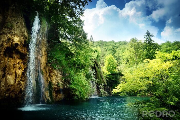 Fototapete Wasserfall und üppige grüne Bäume