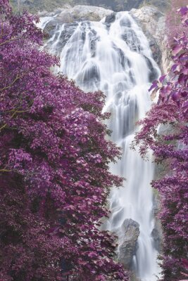 Wasserfall und violette Bäume