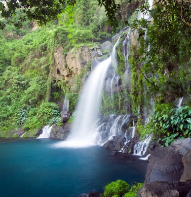 Fototapete Wasserfall und wilde Vegetation