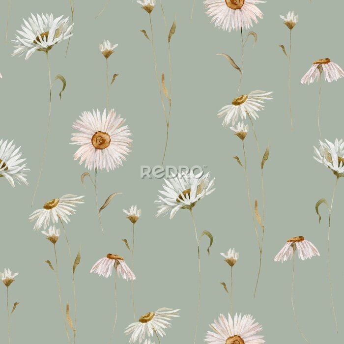 Fototapete Watercolor delicate wildflowers, daisy, camomile, floral seamless pattern. Blooming meadow tile. Hand drawn elegant, botanical background. Repeatable texture, wrapping paper,wallpaper, fabric, textile