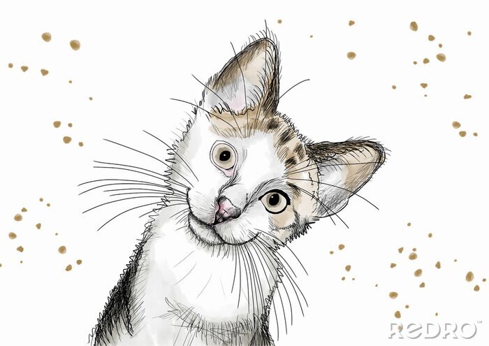 Fototapete Watercolor hand drawn illustration: cute kitten with big eyes and a curious attitude