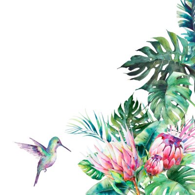 Sticker Watercolor humming bird template. Hand drawn card design with colibri, exotic leaves and branches isolated on white background. Palm tree, banana leaves, mostera plants