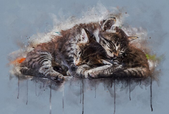 Fototapete Watercolor illustration, Two little tabby cats sleeping together