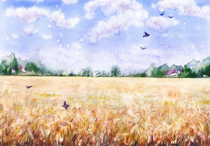 Fototapete Watercolor Landscape with Wheat Field