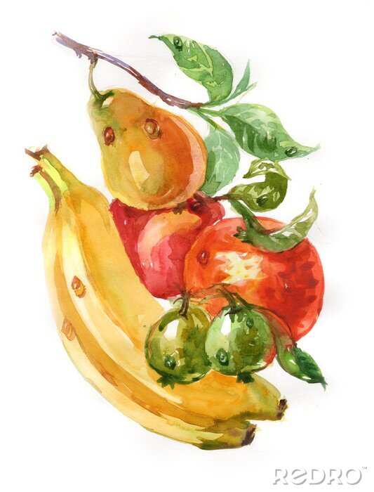 Fototapete Watercolor painting banana orange apples pear feijoa branch