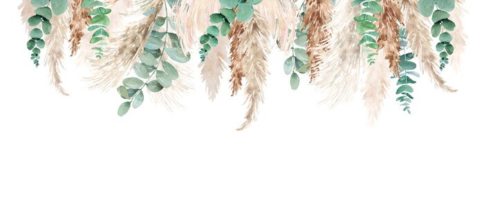 Fototapete Watercolor pampas grass and eucalyptus  set. Hand painted boho floral neutral colors, sage green border, frame. Botanical elements isolated on white. Bohemian style wedding invitation, greeting, card