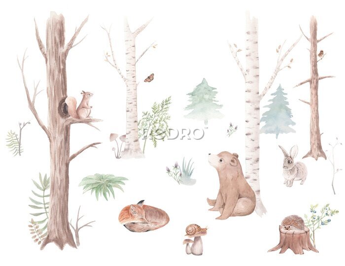Fototapete Watercolor set Forest Animals and Trees, watercolor woodland, bear, squirrel, sparrow, fox, rabbit, snail, hedgehog, Christmas tree, stump, for nursery, wallpaper, wall decor, stickers