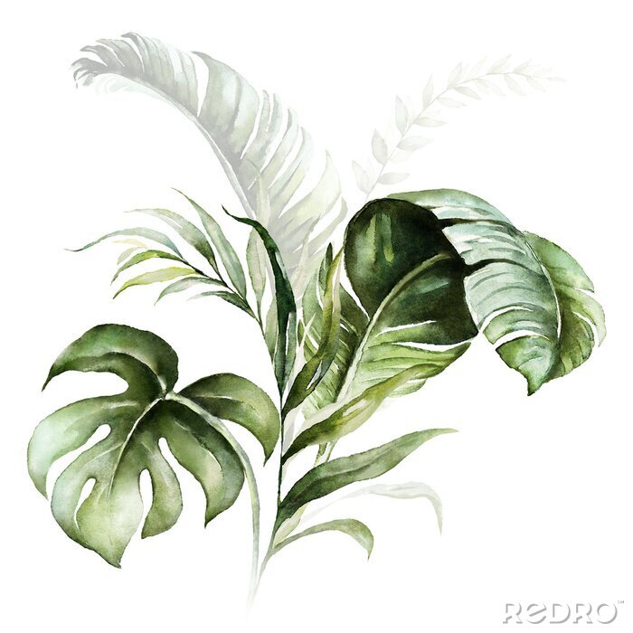 Fototapete Watercolor tropical floral bouquet - green leaves. For wedding stationary, greetings, wallpapers, fashion, background.