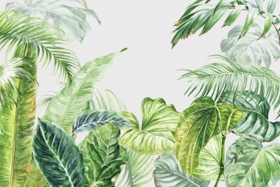 Fototapete Watercolor tropical wall mural with palm tree leaves. Watercolour .