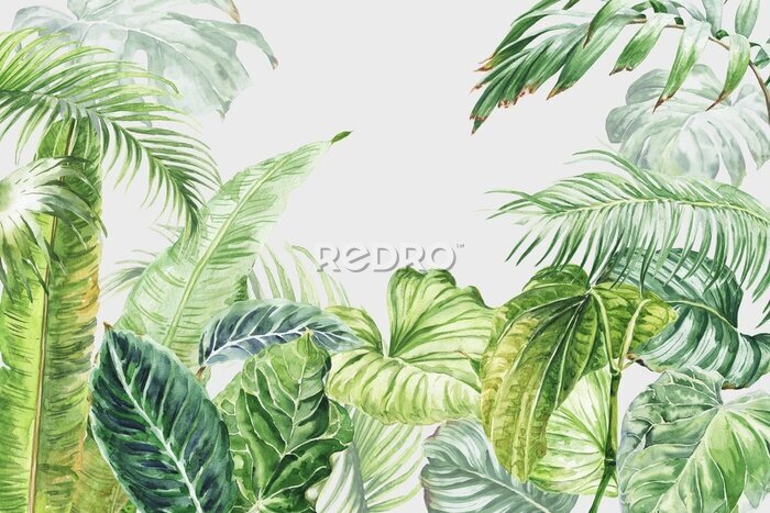 Fototapete Watercolor tropical wall mural with palm tree leaves. Watercolour .