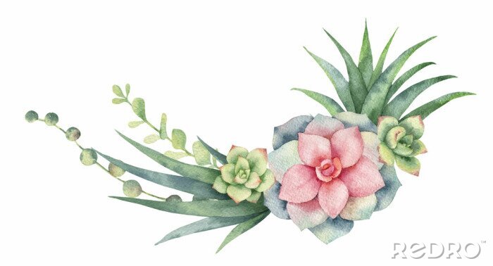 Fototapete Watercolor vector wreath of cacti and succulent plants isolated on white background.