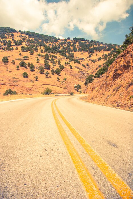 Fototapete Weg durch Felder und Hügel