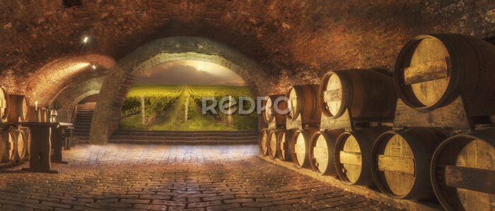 Fototapete Weinkeller