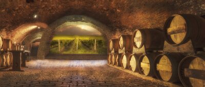 Fototapete Weinkeller
