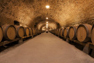 Fototapete Weinkeller mit Weinfass