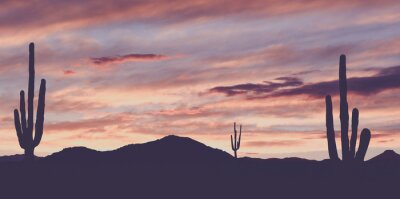 Fototapete Weinlese-wilde Westwüste mit Kaktus