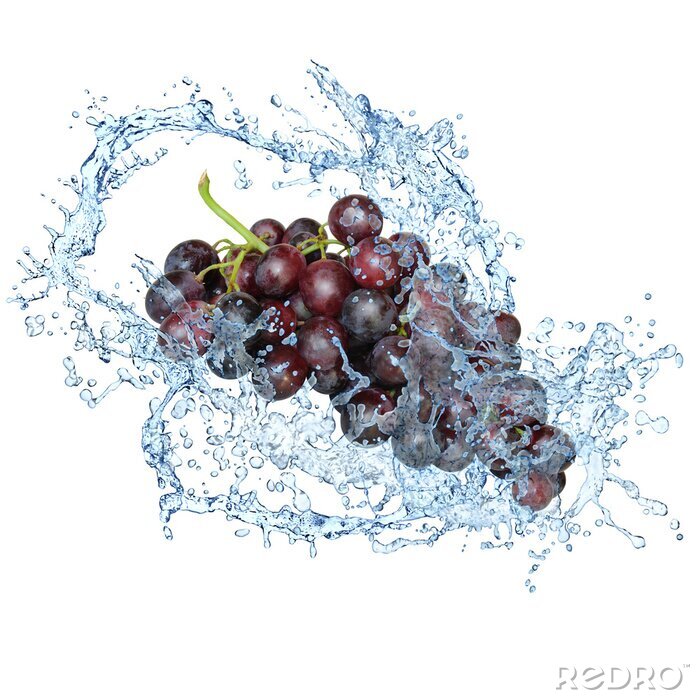 Fototapete Weintraube im Wasser
