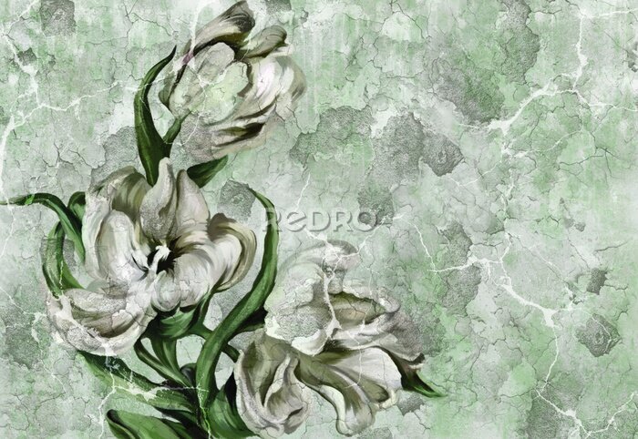 Fototapete Weiße Blume an einer rissigen Wand