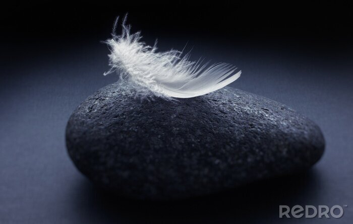 Fototapete Weisse Feder auf Stein