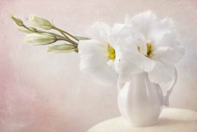 Weiße Lilien in der Vase Shabby-Chic