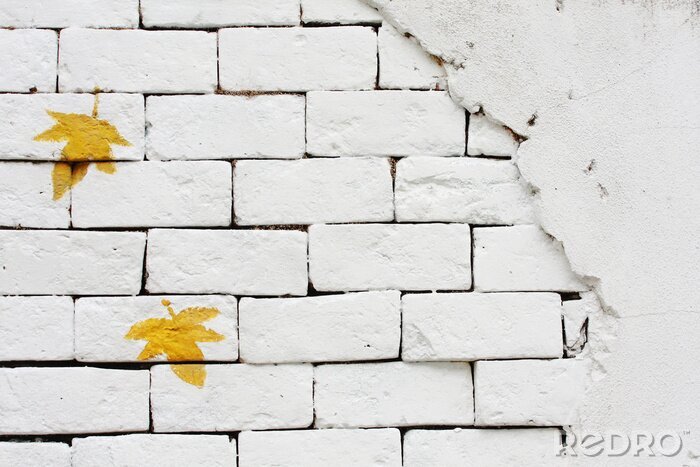 Fototapete Weiße Mauer mit gelben Blättern