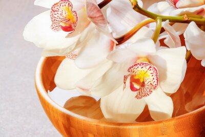 Fototapete Weiße Orchidee Holz