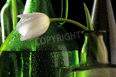 Fototapete Weiße Tulpe und grüne Flaschen