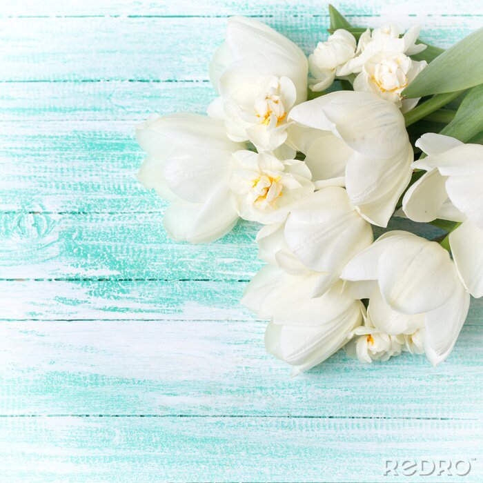 Fototapete Weiße Tulpen auf Holz