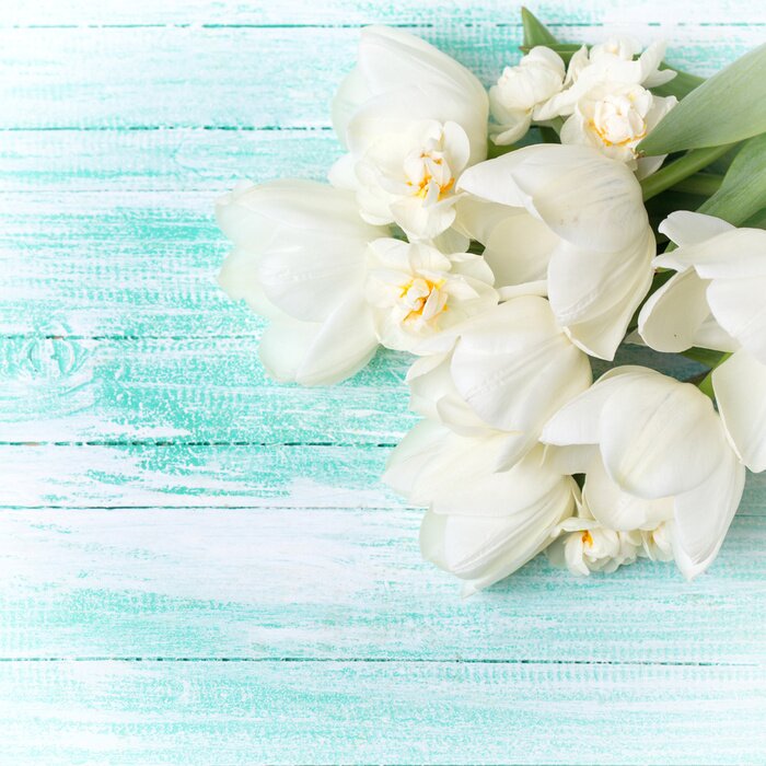 Fototapete Weiße Tulpen auf Holz