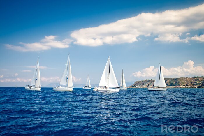 Fototapete Weiße Yachten auf See