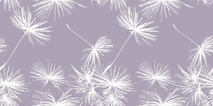 Fototapete Weißer Löwenzahn auf einem Pflaumenhintergrund