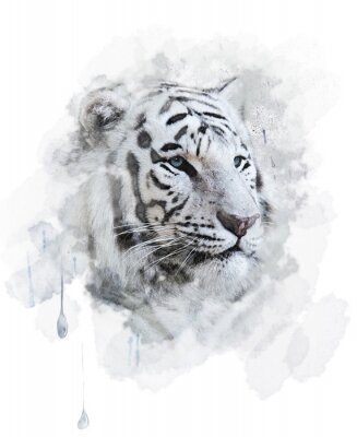 Fototapete Weißer tiger in aquarell