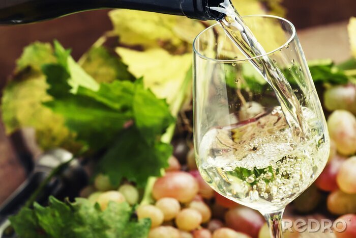 Fototapete Weißer Wein in Glas