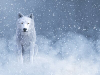 Fototapete Weißer Wolf im Schnee