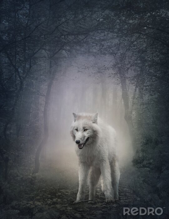 Fototapete weißer Wolf in einem nebligen Wald