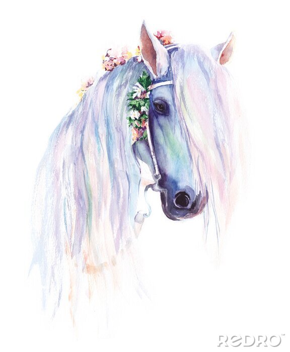 Fototapete Weißes pferd in pastellfarben zeichnung