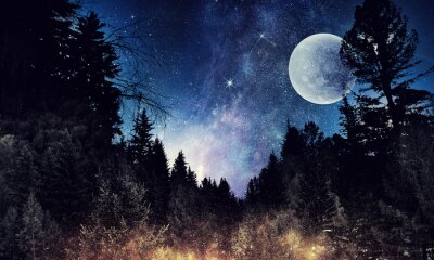 Weltall und Mond vom Wald aus sichtbar