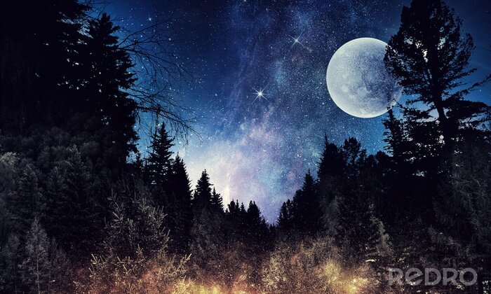 Fototapete Weltall und Mond vom Wald aus sichtbar